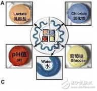 <b>表皮电子再显神威 可穿戴设备出现新转机</b>