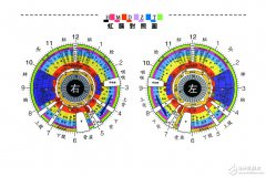 虹膜识别技术原理及解决方案