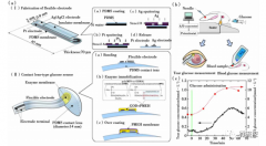 可穿戴柔性电子设备在糖尿病治疗方面的应用