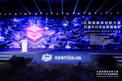 化作乾坤万里春：openGauss跨越生态拐点之后，改