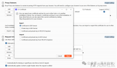 应用与小程序安全测试工具概览：渗透测试的利