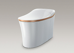 智能马桶市场正被点燃