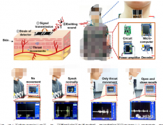 可穿戴的第二代智能石墨烯人工喉系统，还原准