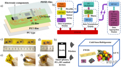 用于水果质量监测的柔性可穿戴光学无线传感系
