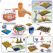 集成传感器阵列的电子皮肤应变感知示意图