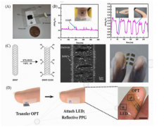 可穿戴设备的主要材料