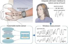 首款完全无线的植入式触觉传感器研发应用