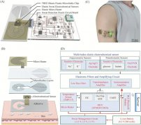 用于汗液实时监测的全弹性可穿戴系统