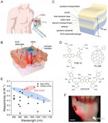 应用传感电子皮肤的PPG-ECG检测系统设计