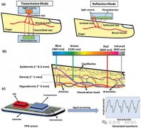 <b>可穿戴PPG传感器中先进材料的制备、性能及应用</b>