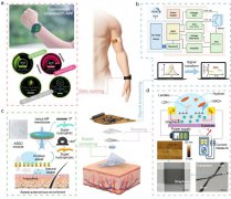 一种微型可穿戴皮肤界面智能石墨烯纳米电子（