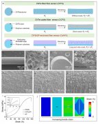 高性能纤维应变传感器，实现可穿戴设备的柔性