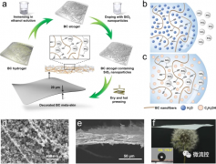 用于远场高分辨医学成像的可生物降解柔性声学