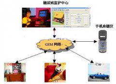 根据MSP430微处理器和GSM移动通信的血糖监护系统