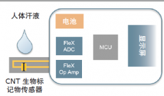 非侵入式传感器用于持续监测人体生物标记物