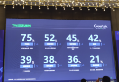 细分领域竞争打响，TWS耳机市场增长还未达上限