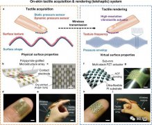 韩国开研究人员发出一种新型超灵活的远程触觉