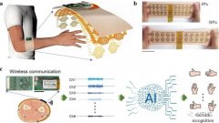 如何通过可拉伸多通道sEMG传感器实现静态和动态