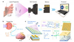 基于储备池计算（RC）的指纹识别系统