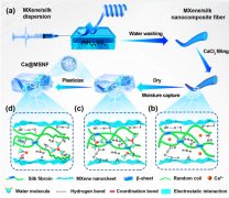 一种用于多功能传感的类皮肤导电纤维