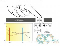 基于STM32F103C8T6的心率血压手表设计