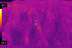 红外探测器在安防监控应用