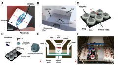 微流控芯片用于化疗药物治疗反应预测