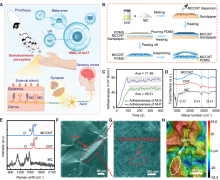 如何高效平衡触觉传感界面的灵敏度
