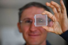 Bionaut Labs微型机器人可实现脑内精准医疗