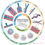 <b>液滴微流控技术在癌症研究中的应用：从单细胞</b>