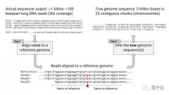 谷歌推出开源工具DeepVariant，用深度神经网络识别