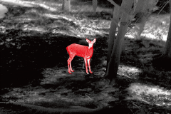 红外热成像探测器及红外机芯选型指导