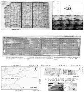 无人机低空遥感技术在农作物监测中的应用