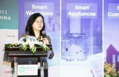 爱芯元智CEO仇肖莘出席CISES：AI赋能传统技术，加