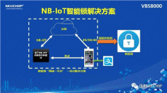 <b>ofo和摩拜都要做NB-Iot智能锁的原因解析</b>