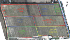 无人机高光谱遥感监测葡萄长势与缺株定位