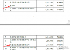 董明珠的造车梦：从珠海银隆7.46%股权开始