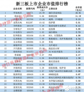 手机产业新三板市值排行榜