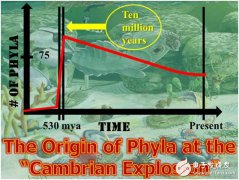 谷歌云首席科学家李飞飞“超越 ImageNet 的视觉智