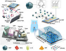浅谈智能手机集成的SPRi系统搭建原理