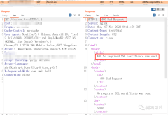 Android APP渗透之双向认证突破