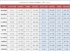 11家AIoT芯片企业2022年财报：竞争加剧、库存承压