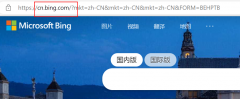 <b>怎么防止Bing浏览器跳转到国内版呢？</b>