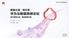 第五元素奏鸣曲：企业的新数据之道