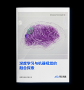 AI干货补给站 | 深度学习与机器视觉的融合探索