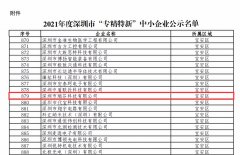【瑞芬喜讯】深圳市瑞芬科技有限公司荣获2021年