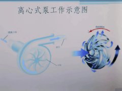 离心泵的基本结构和工作原理