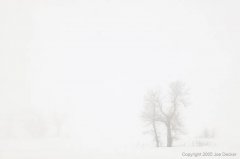 理解如何处理计算机视觉和深度学习中的图像数