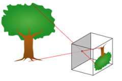 针孔相机的历史
