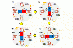 步进电机的基本工作原理
